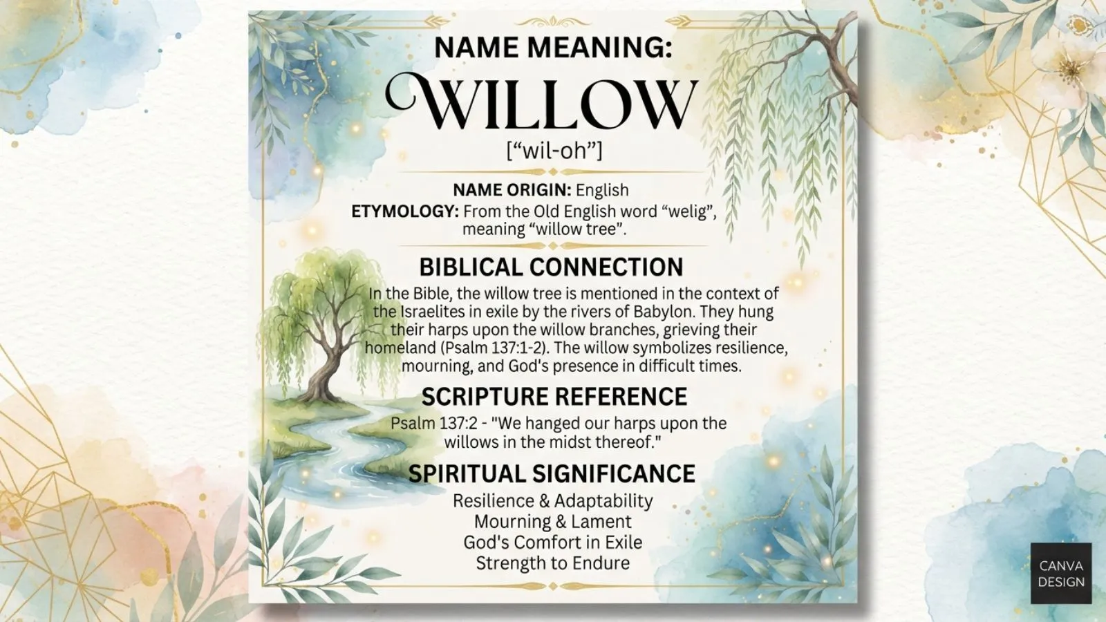 willow name meaning bible